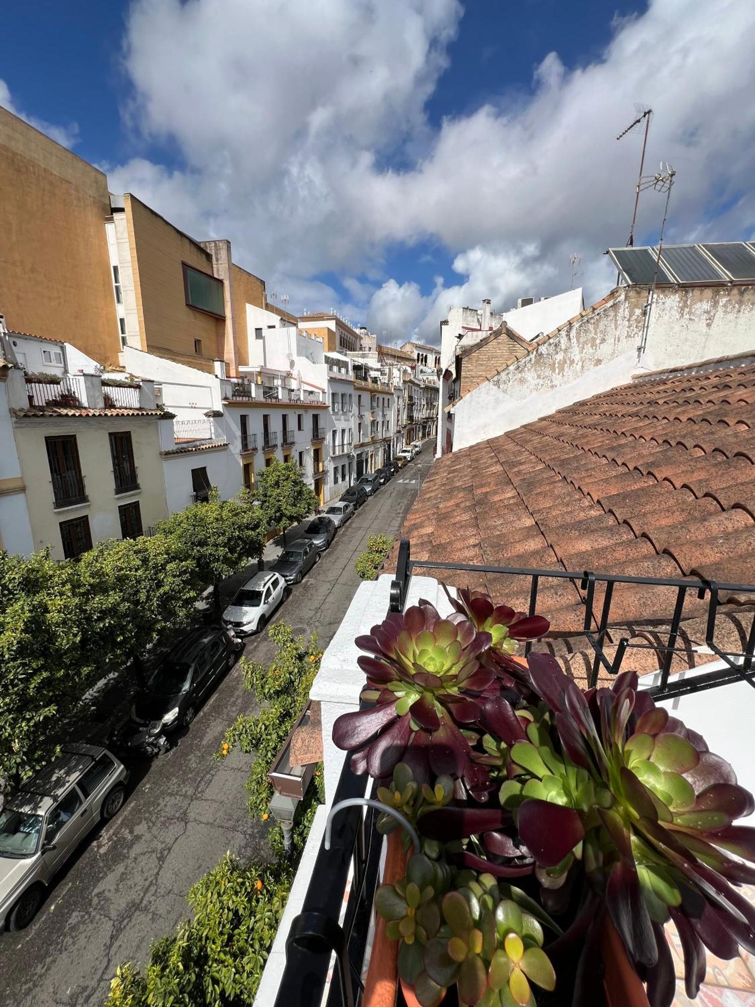 San Fernando 33 Villa Córdoba Eksteriør billede