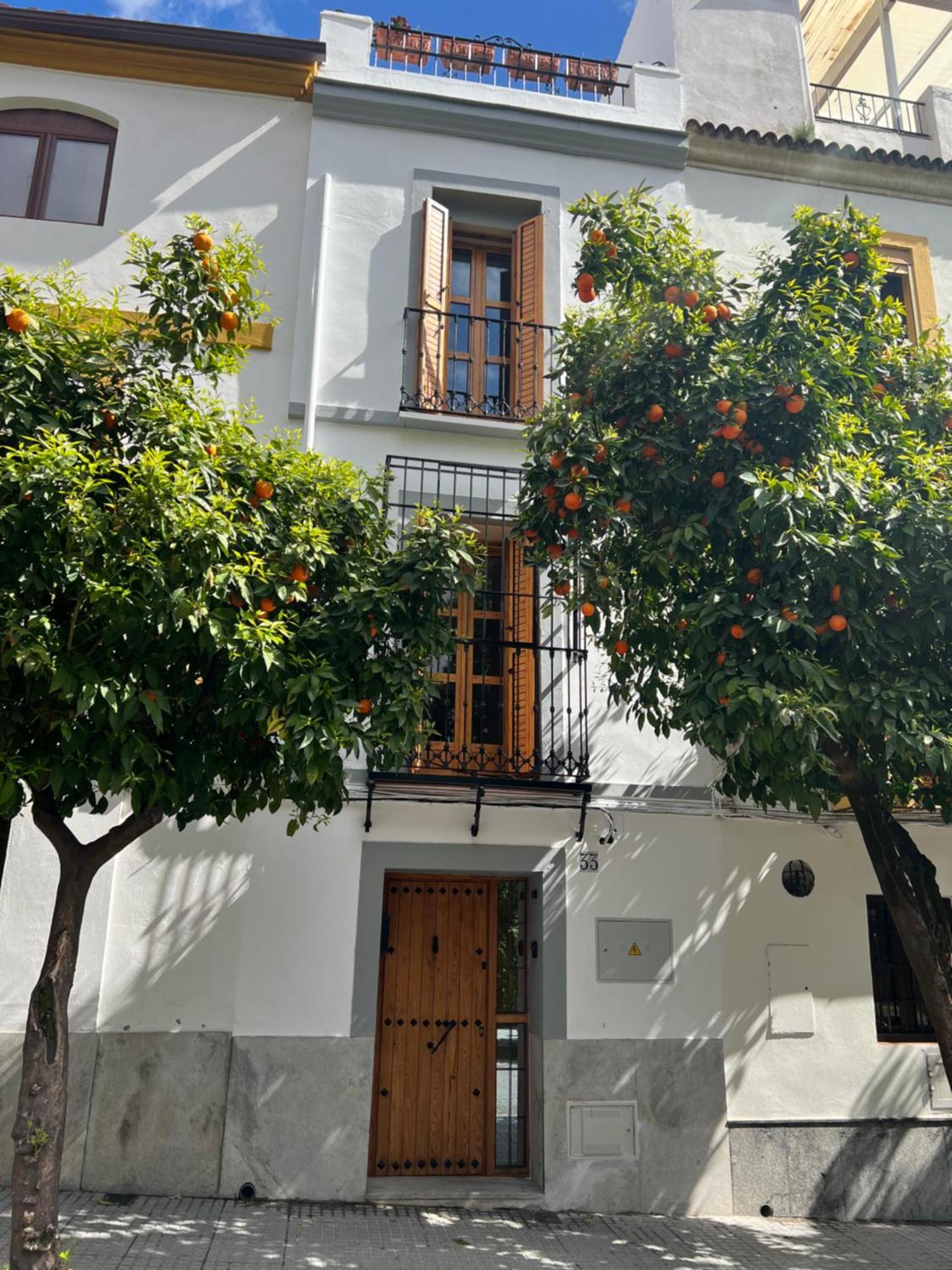 San Fernando 33 Villa Córdoba Eksteriør billede